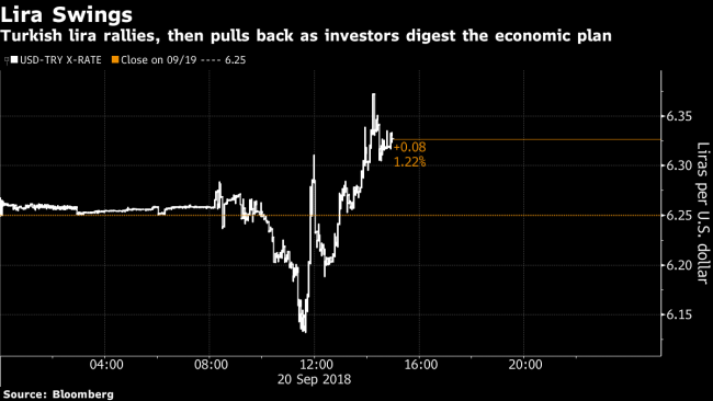 Banks Hang in Balance as Turkish Finance Minister Ducks Bad Debt Plan