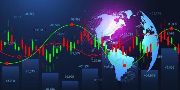 Palomar Holdings (NASDAQ:PLMR) Reports Strong Q3, Stock Soars
